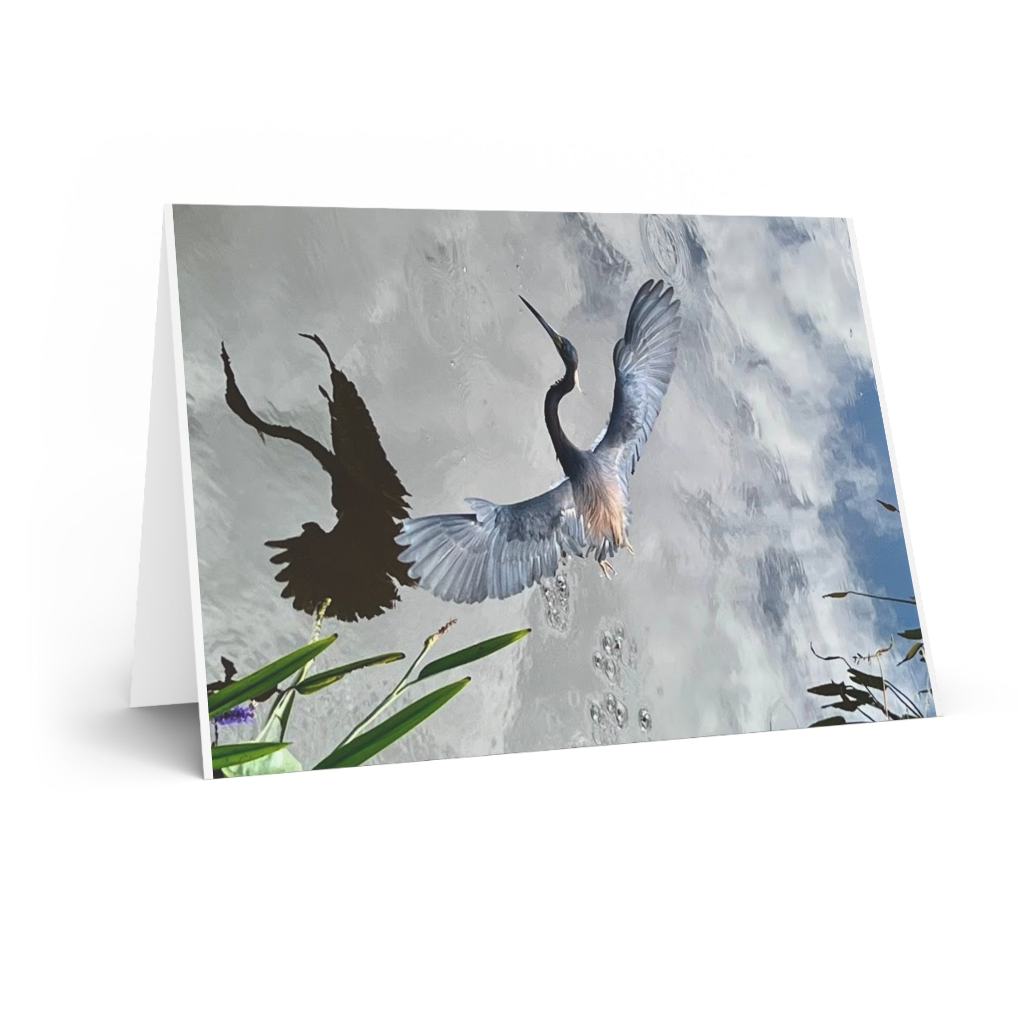 Mimi's Moments | Taking Flight Greeting Card