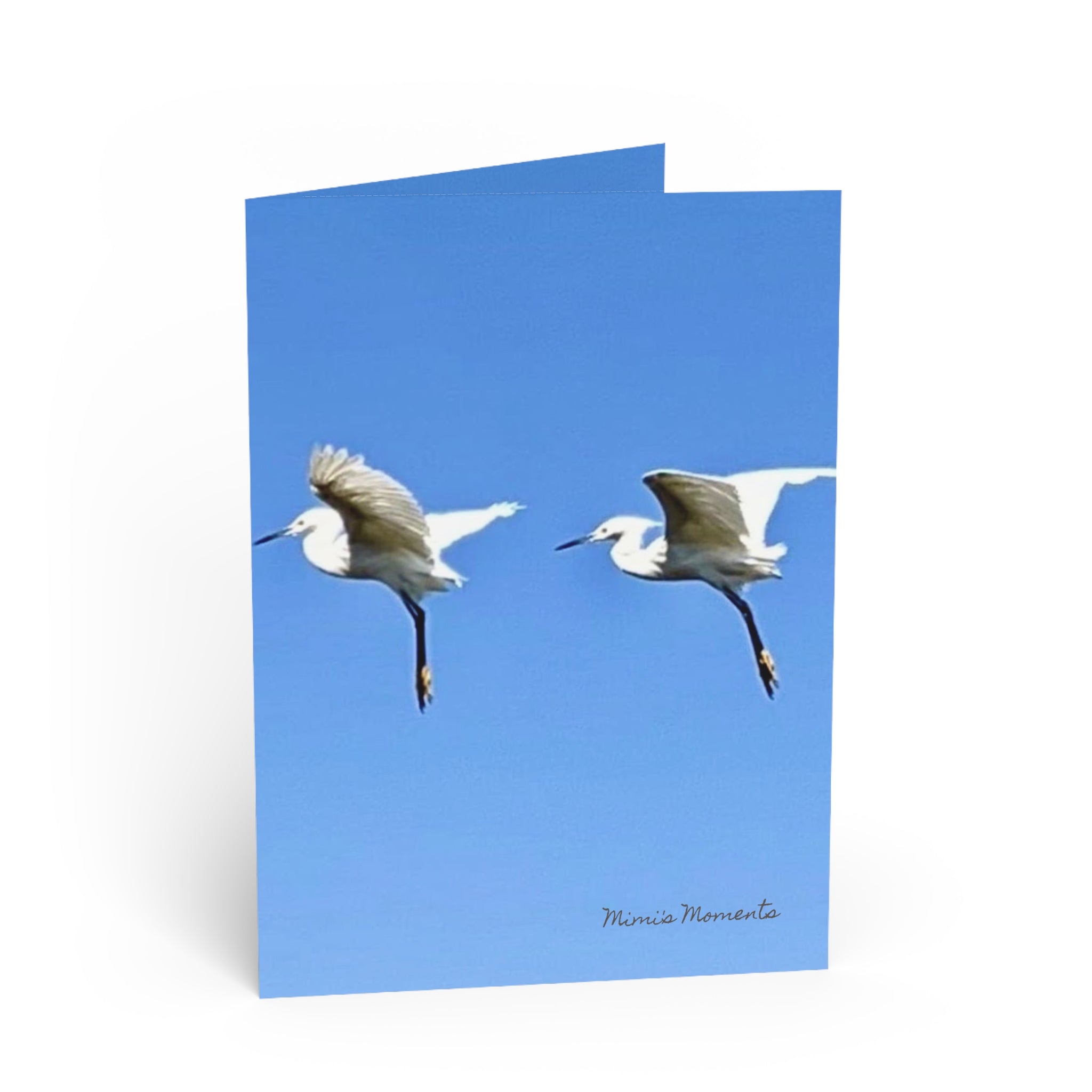 Mimi's Moments | Always Better Together Greeting Card